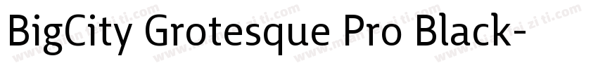 BigCity Grotesque Pro Black字体转换
